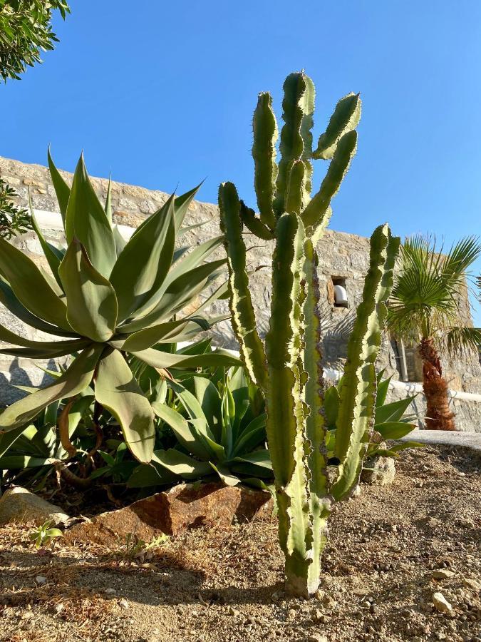Sensus Mykonos Apartment Калафатис Екстериор снимка